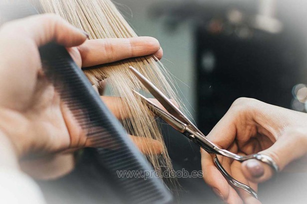 Peluquería Web Corporativa