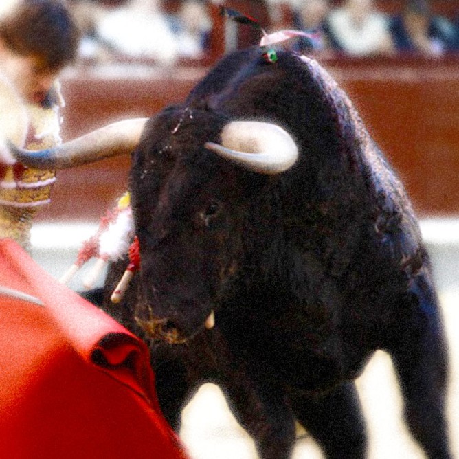 Matador